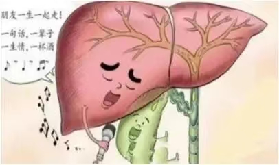 身体里的“肝胆相照”