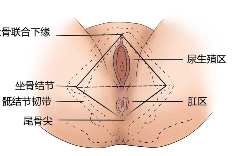 顺产必备？会阴按摩究竟有没有用？