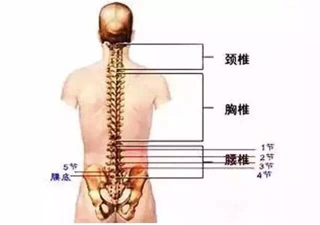 A13C27A9E67590DEA959B2BF3BEF5043.png