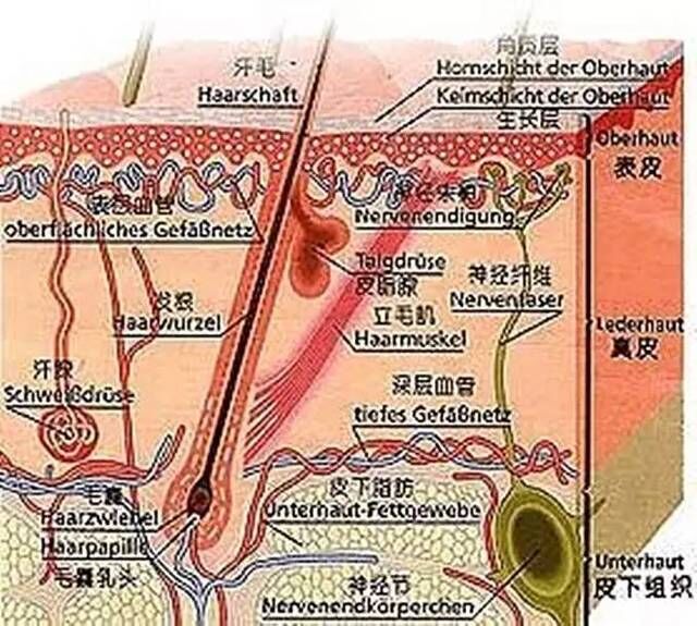 QQ图片20180905193202.jpg