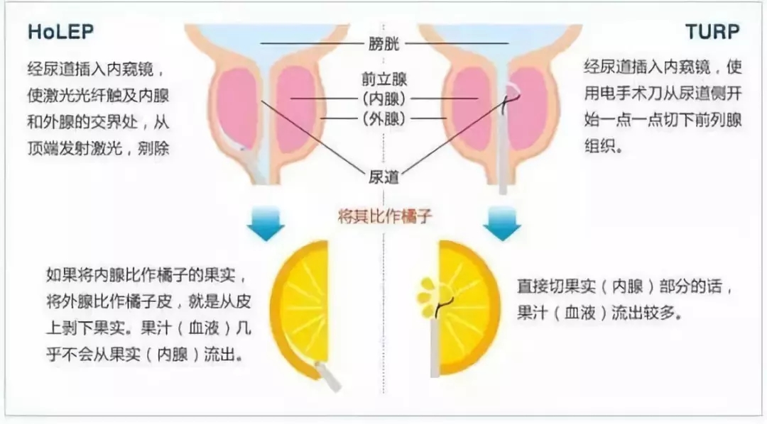 640.webp (6).jpg
