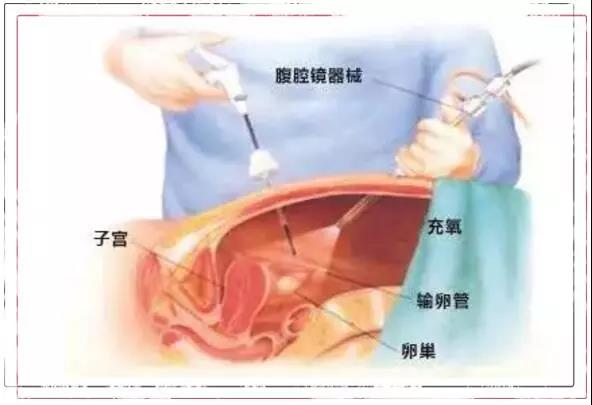 微信图片_20181019112003.jpg