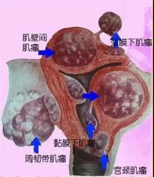 微信图片_20181019112010.jpg