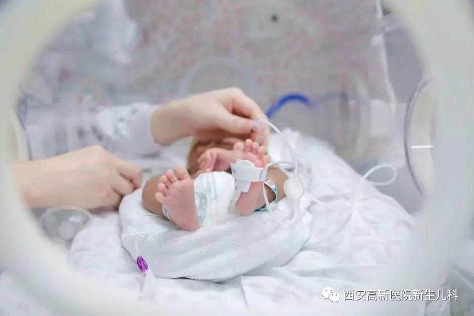 1543574550380400.jpg 1.jpg