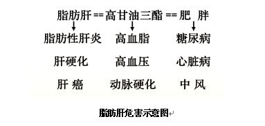 20181220体检常见误区2.png