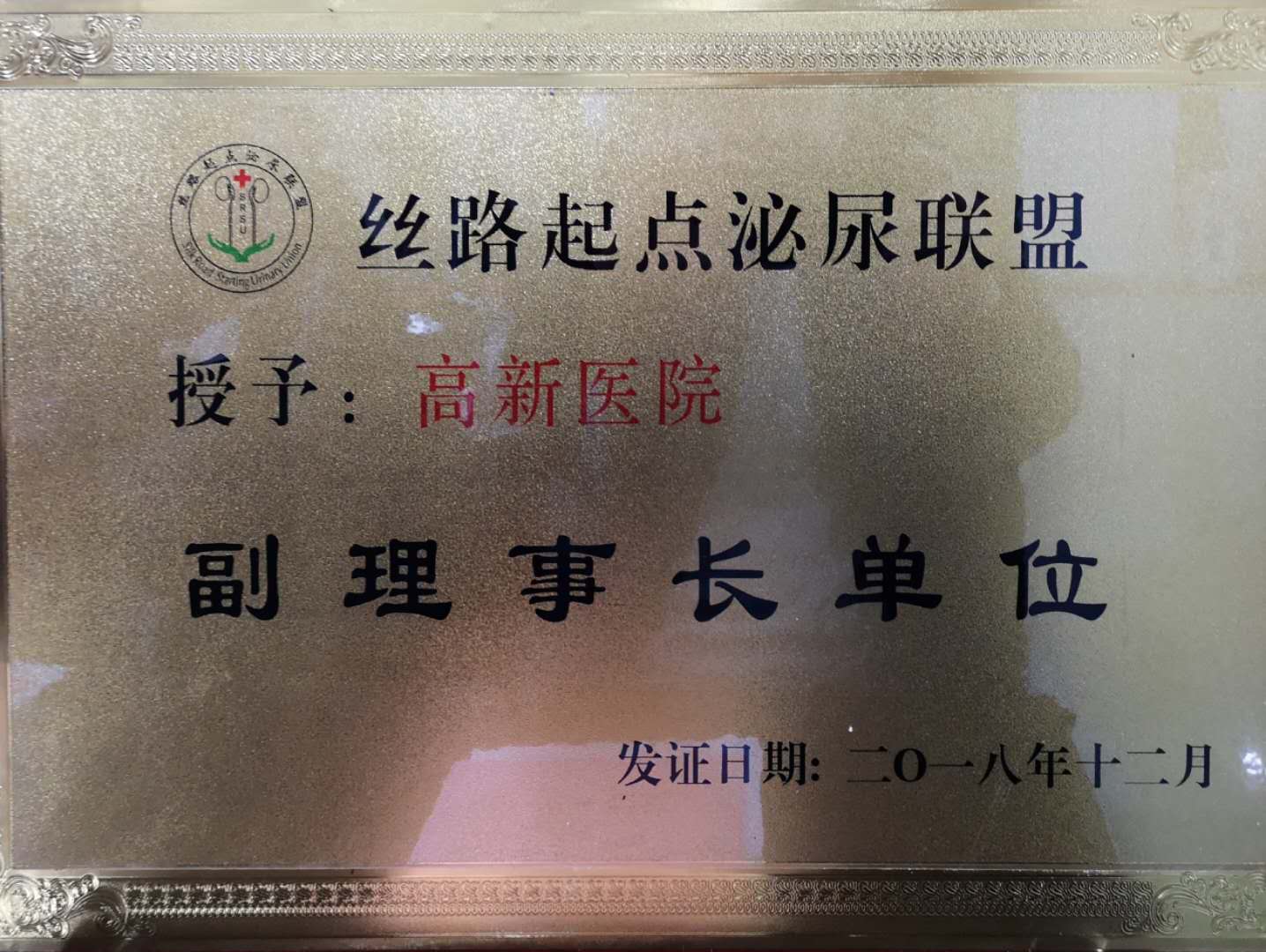 2082913902.jpg