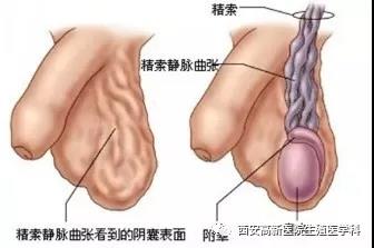 微信图片_20190228143612.jpg
