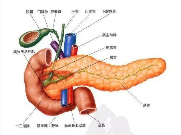 急性胰腺炎