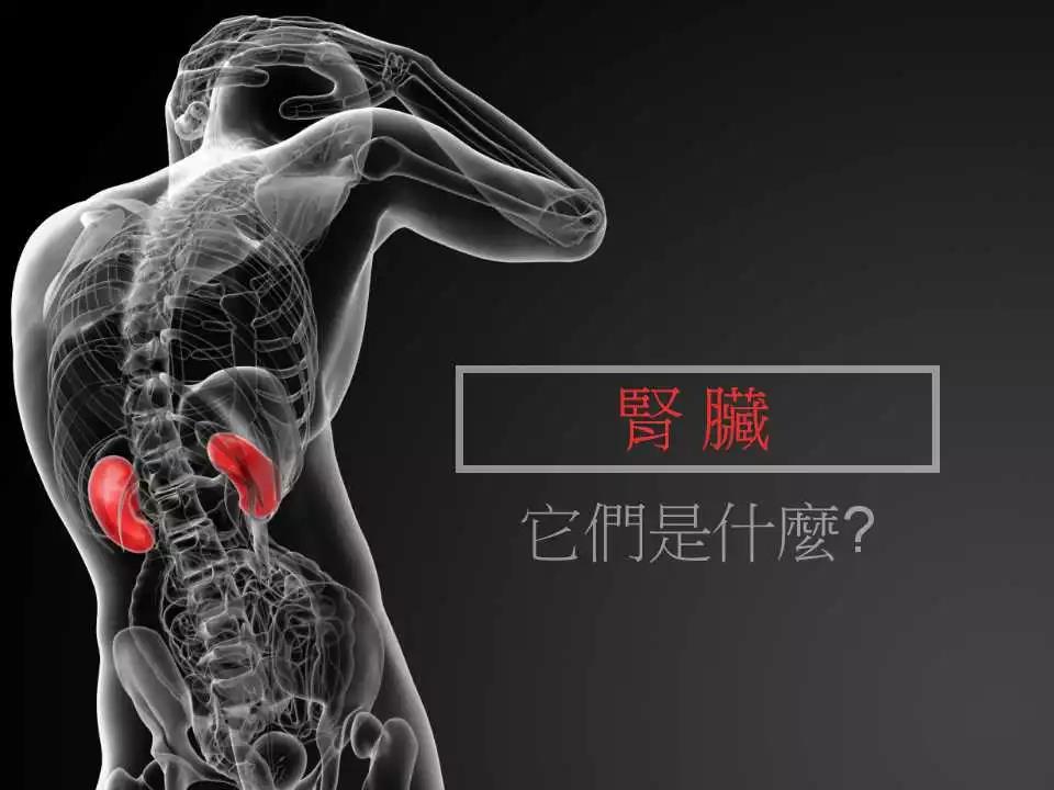 您了解肾脏吗?