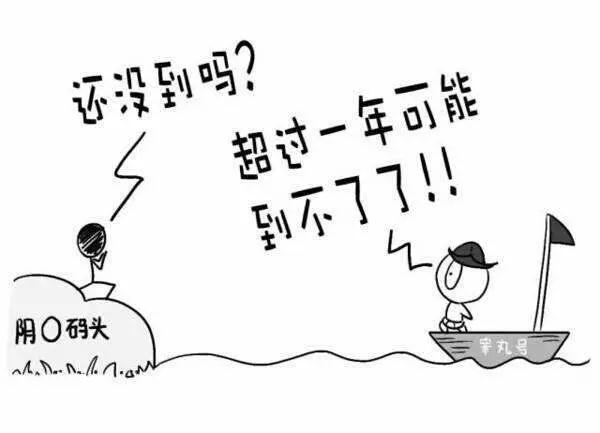 睾丸.jpg