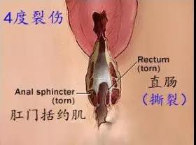 微信图片_20200106220721.jpg