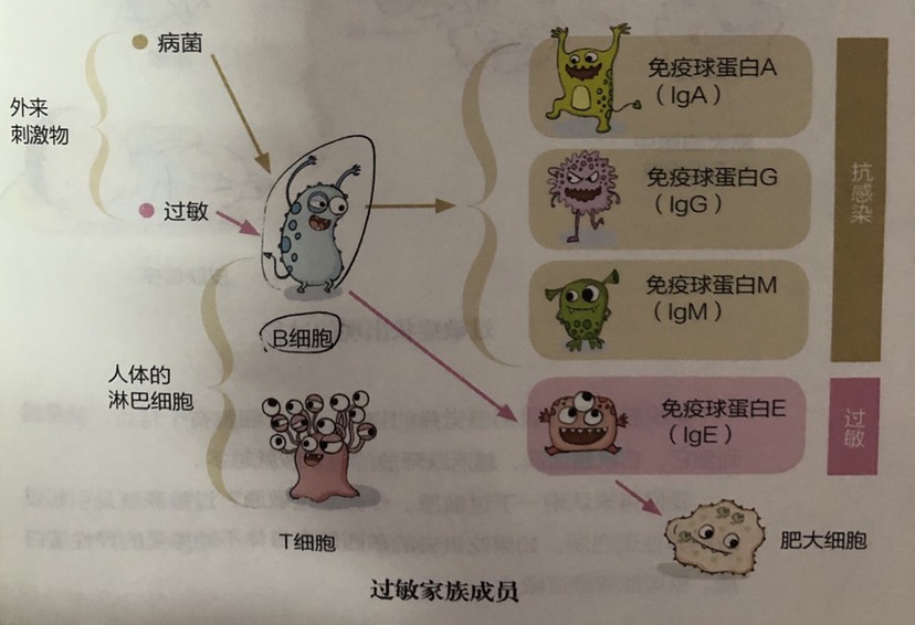 2024年菏泽市中医医院公开招聘备案制工作人员简章（50人）