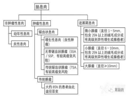 肠镜病理报告怎么看